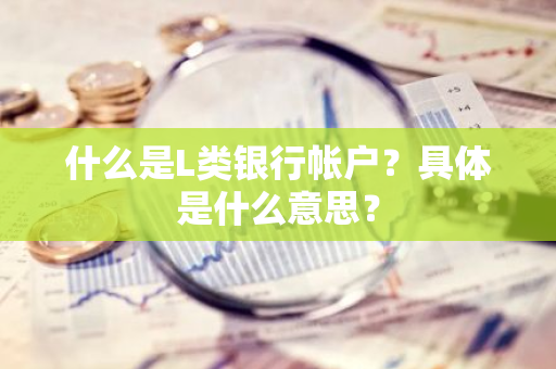 什么是L类银行帐户？具体是什么意思？