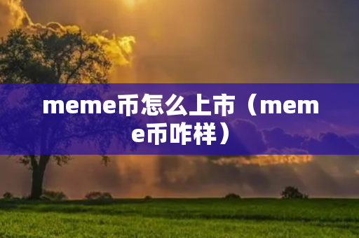 meme币怎么上市（meme币咋样）