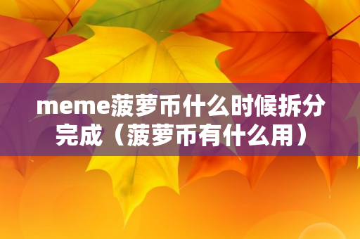 meme菠萝币什么时候拆分完成（菠萝币有什么用）