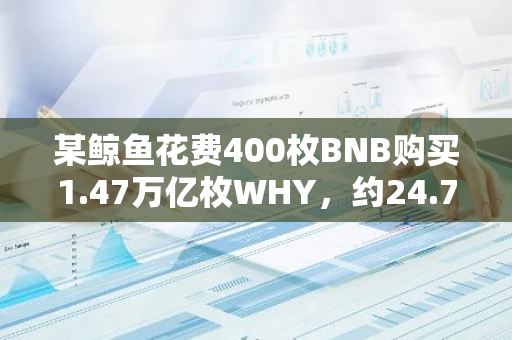 某鲸鱼花费400枚BNB购买1.47万亿枚WHY，约24.7万美元