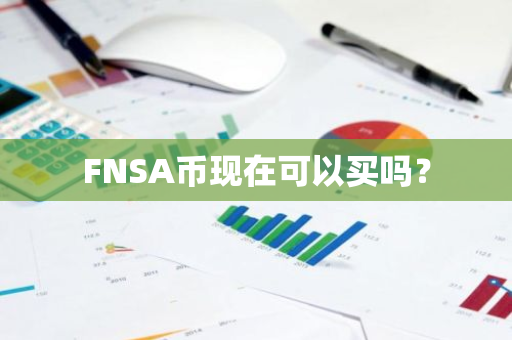 FNSA币现在可以买吗？