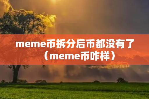 meme币拆分后币都没有了（meme币咋样）