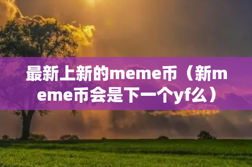 最新上新的meme币（新meme币会是下一个yf么）