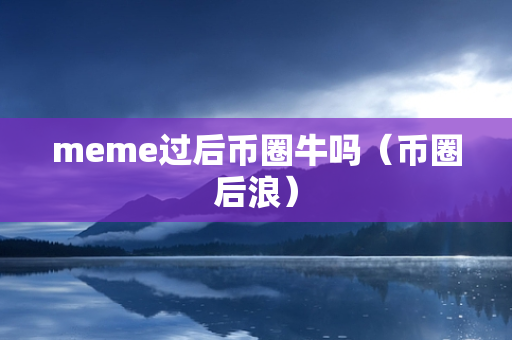 meme过后币圈牛吗（币圈后浪）