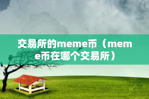 交易所的meme币（meme币在哪个交易所）