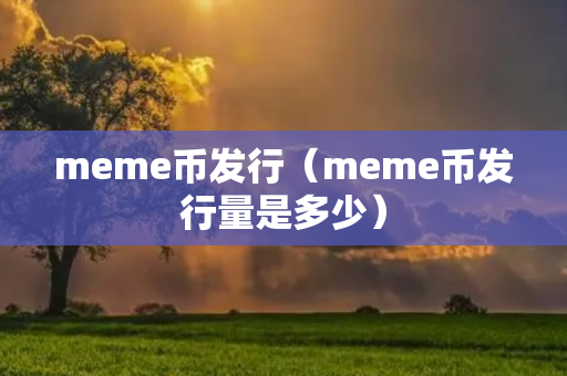 meme币发行（meme币发行量是多少）