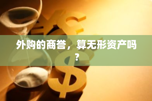 外购的商誉，算无形资产吗？