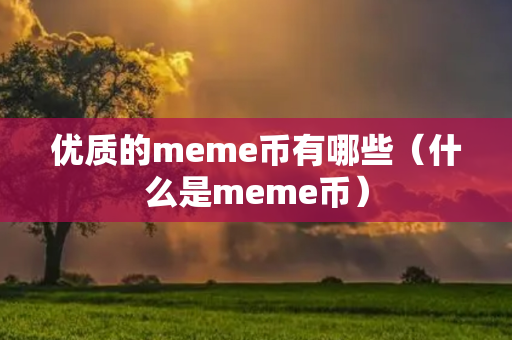 优质的meme币有哪些（什么是meme币）