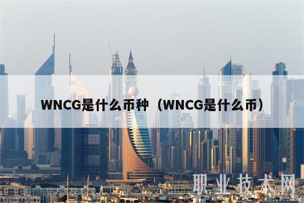 WNCG是什么币种（WNCG是什么币