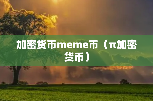 加密货币meme币（π加密货币）