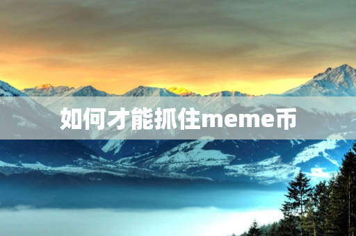 如何才能抓住meme币