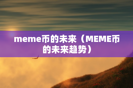 meme币的未来（MEME币的未来趋势）