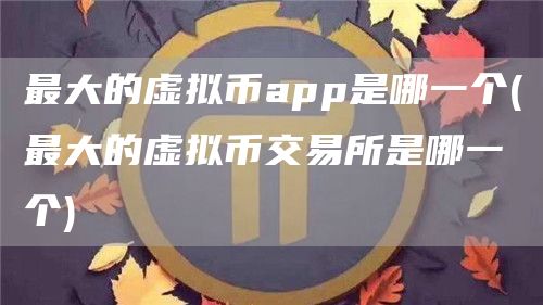 最大的虚拟币app是哪一个 - 最大的虚拟币交易所是哪一个