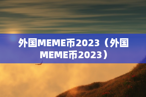 外国MEME币2023（外国MEME币2023）