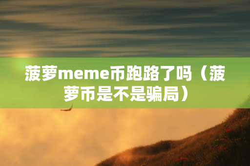 菠萝meme币跑路了吗（菠萝币是不是骗局）