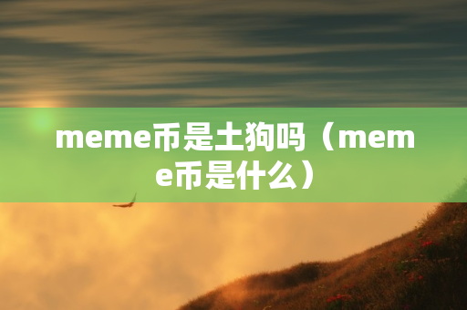 meme币是土狗吗（meme币是什么）