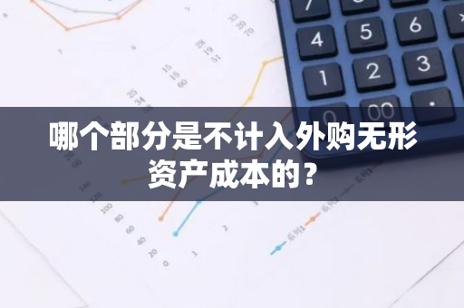 哪个部分是不计入外购无形资产成本的？