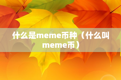 什么是meme币种（什么叫meme币）