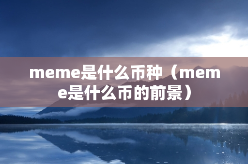 meme是什么币种（meme是什么币的前景）