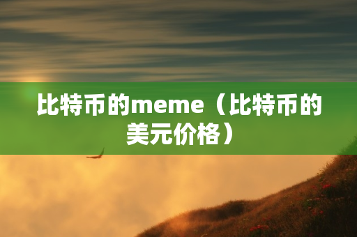 比特币的meme（比特币的美元价格）