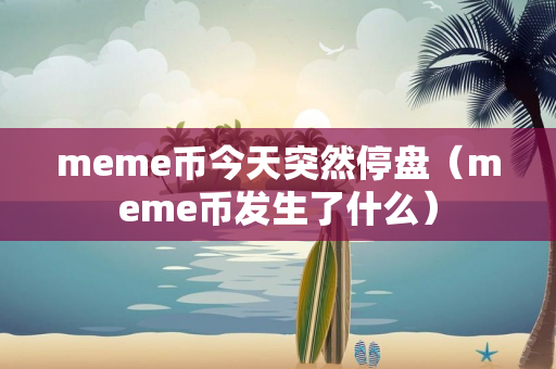 meme币今天突然停盘（meme币发生了什么）