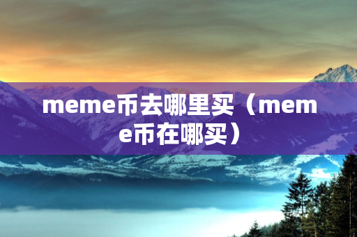 meme币去哪里买（meme币在哪买）