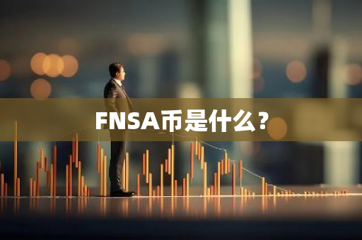 FNSA币是什么？