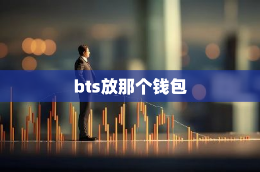 bts放那个钱包