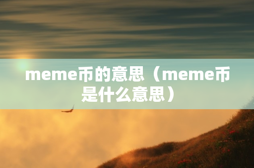 meme币的意思（meme币是什么意思）