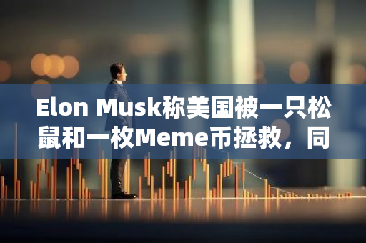 Elon Musk称美国被一只松鼠和一枚Meme币拯救，同名Meme币24H涨超71%