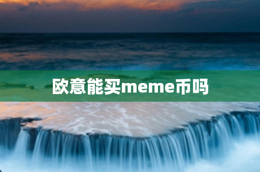 欧意能买meme币吗