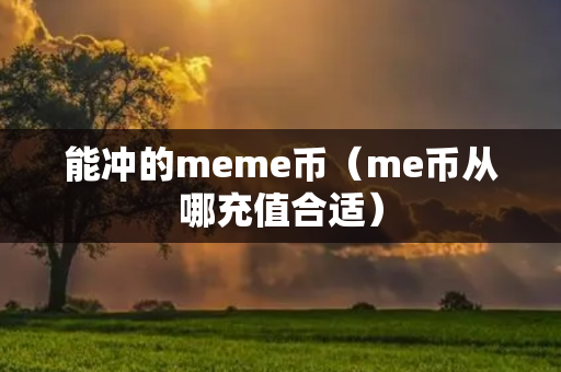 能冲的meme币（me币从哪充值合适）