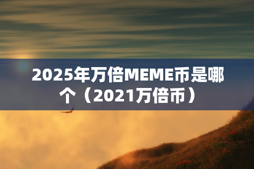 2025年万倍MEME币是哪个（2021万倍币）