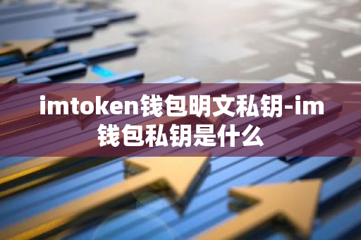 imtoken钱包明文私钥-im钱包私钥是什么