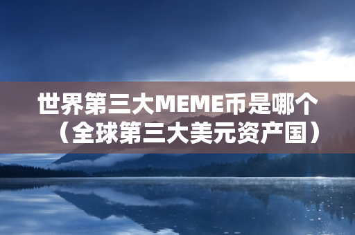 世界第三大MEME币是哪个（全球第三大美元资产国）