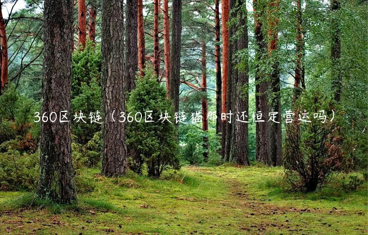 360区块链（360区块链猫那时还恒定营运吗）