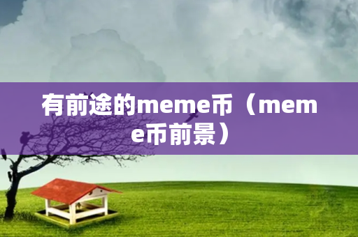 有前途的meme币（meme币前景）