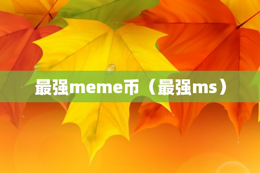 最强meme币（最强ms）