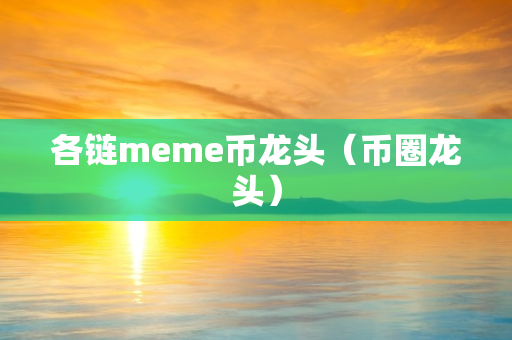 各链meme币龙头（币圈龙头）