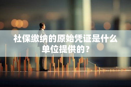 社保缴纳的原始凭证是什么单位提供的？