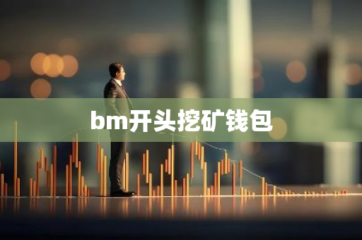 bm开头挖矿钱包