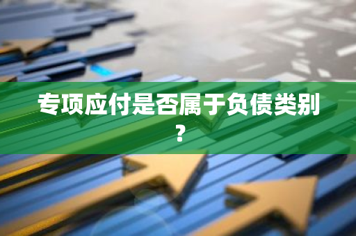 专项应付是否属于负债类别？