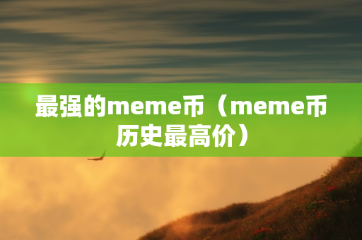 最强的meme币（meme币历史最高价）