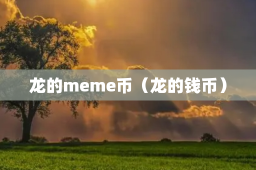 龙的meme币（龙的钱币）