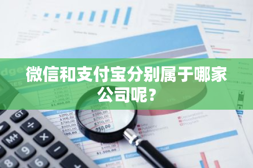 微信和支付宝分别属于哪家公司呢？