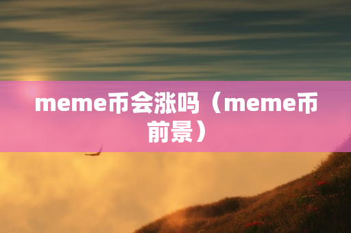 meme币会涨吗（meme币前景）