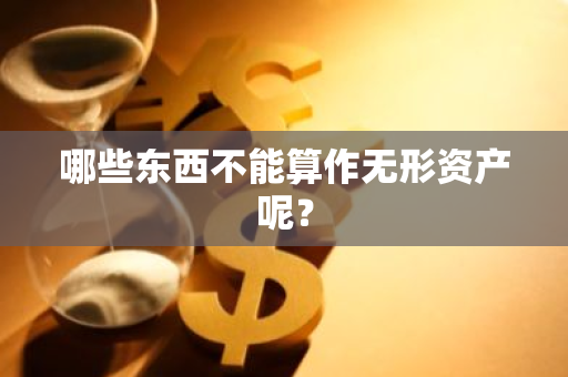 哪些东西不能算作无形资产呢？