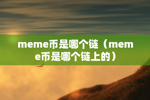 meme币是哪个链（meme币是哪个链上的）