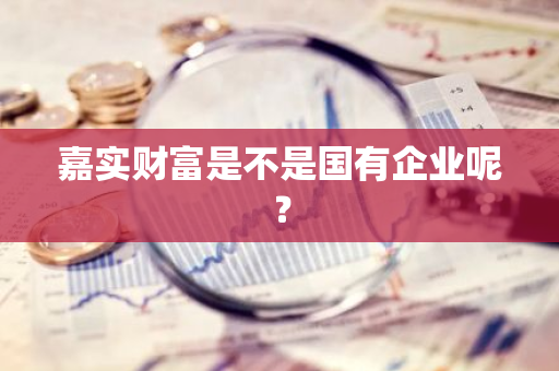 嘉实财富是不是国有企业呢？