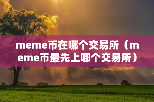 meme币在哪个交易所（meme币最先上哪个交易所）